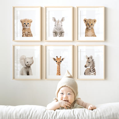Baby Safari Animals Nursery Decor - African Animals Set of 6 Prints
