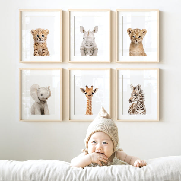 Baby Safari Animals Nursery Decor - African Animals Set of 6 Prints