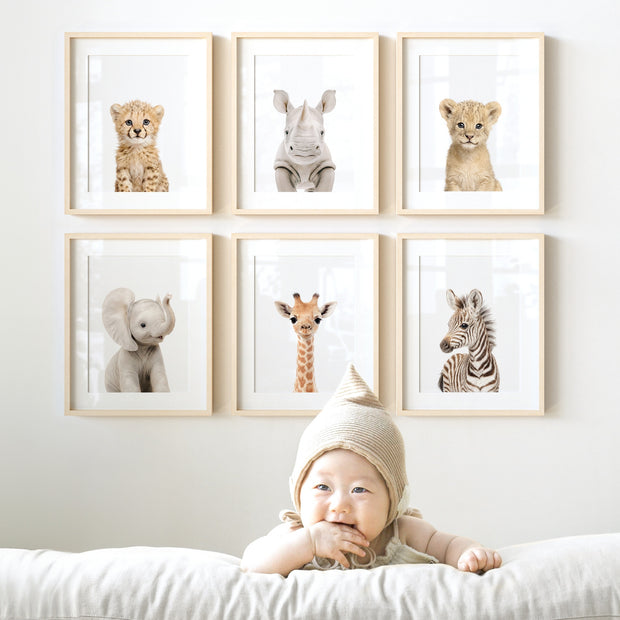 Baby Safari Animals Nursery Decor - African Animals Set of 6 Prints