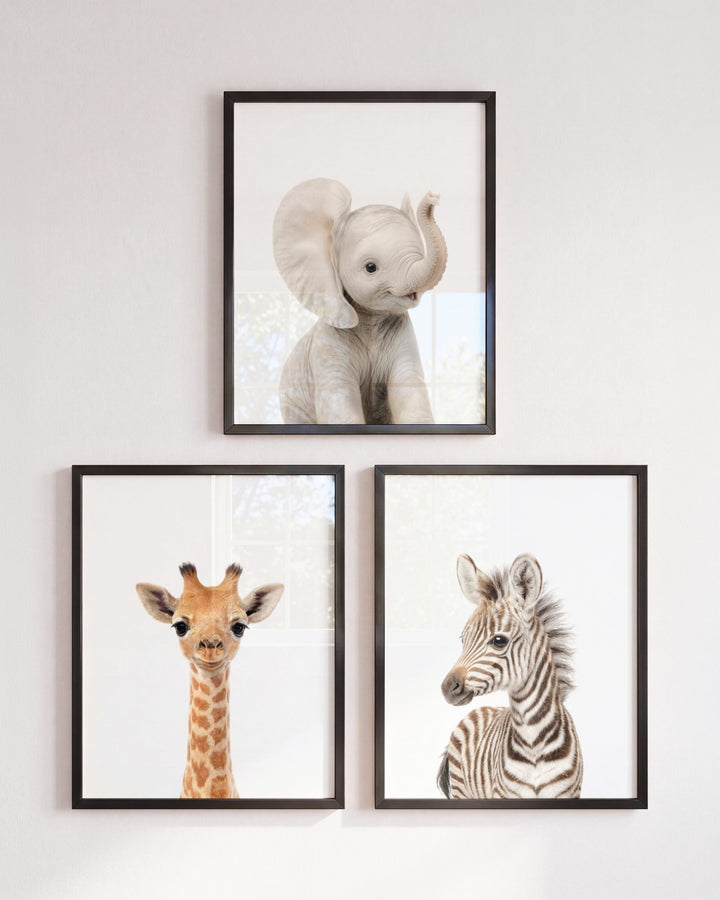 Baby Safari Animals Set of 3 Nursery Art Prints