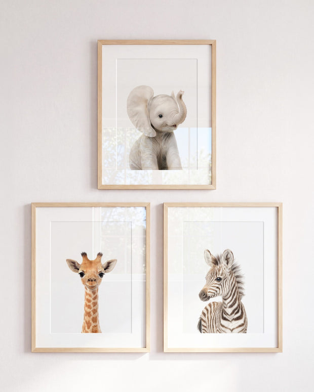 Baby Safari Animals Set of 3 Nursery Art Prints