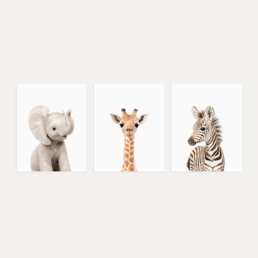 Baby Safari Animals Set of 3 Nursery Art Prints
