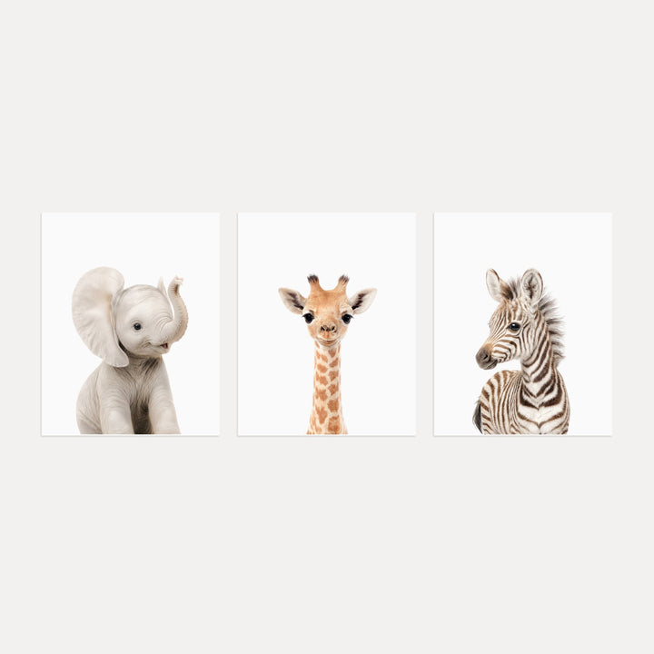 Baby Safari Animals Set of 3 Nursery Art Prints
