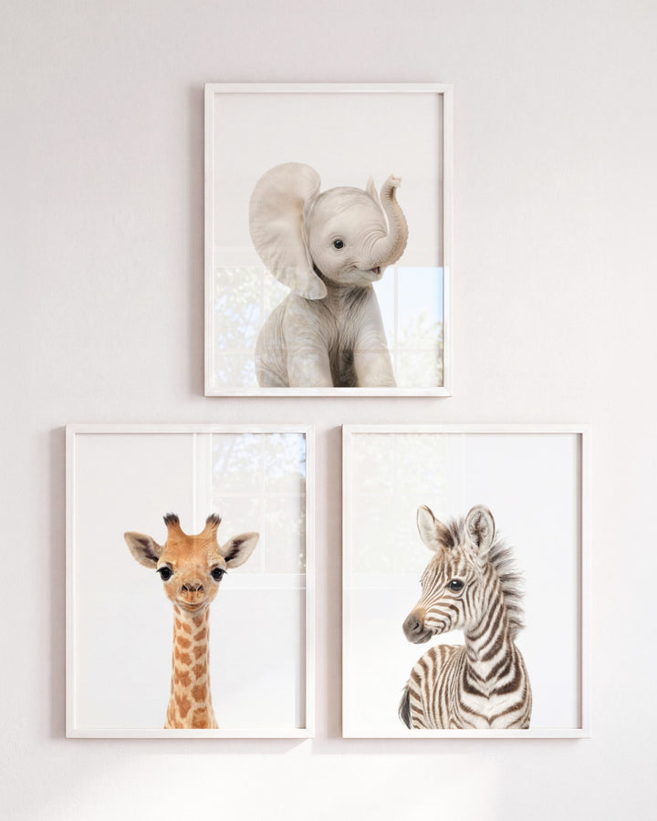 Baby Safari Animals Set of 3 Nursery Art Prints