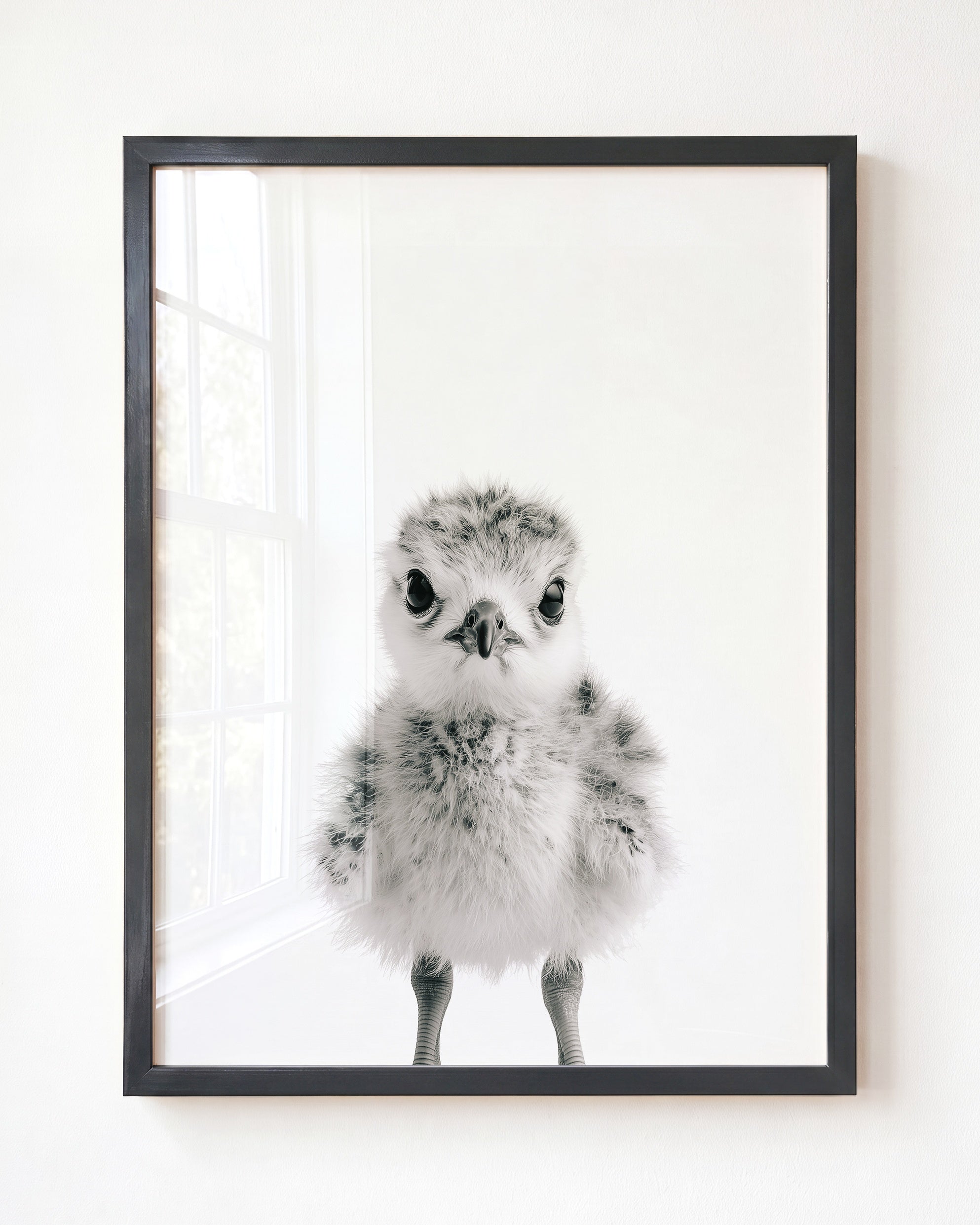 Baby Seagull