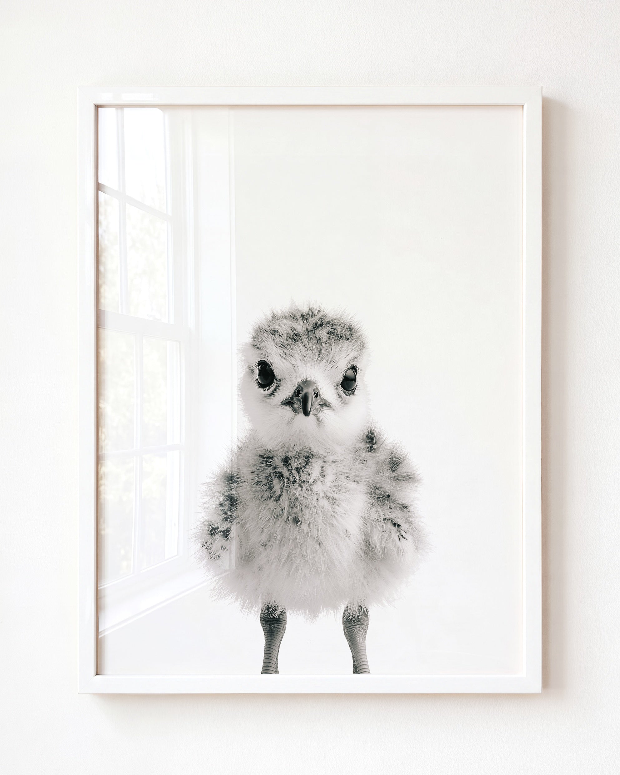 Baby Seagull
