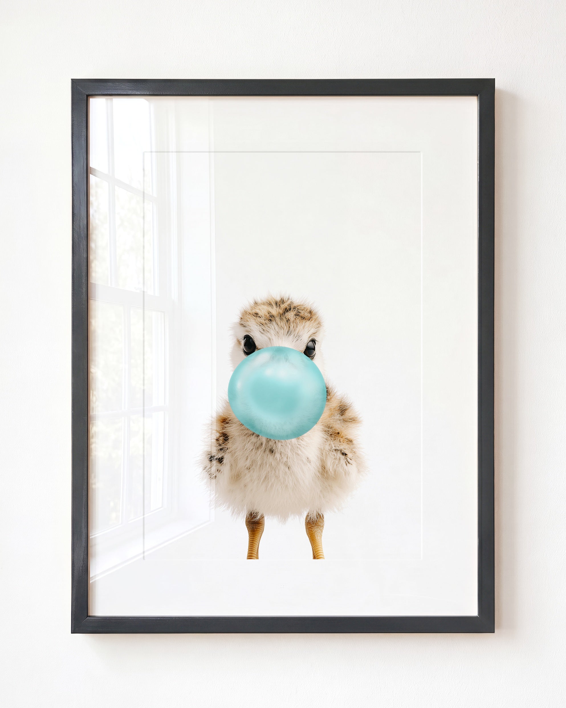 Baby Seagull