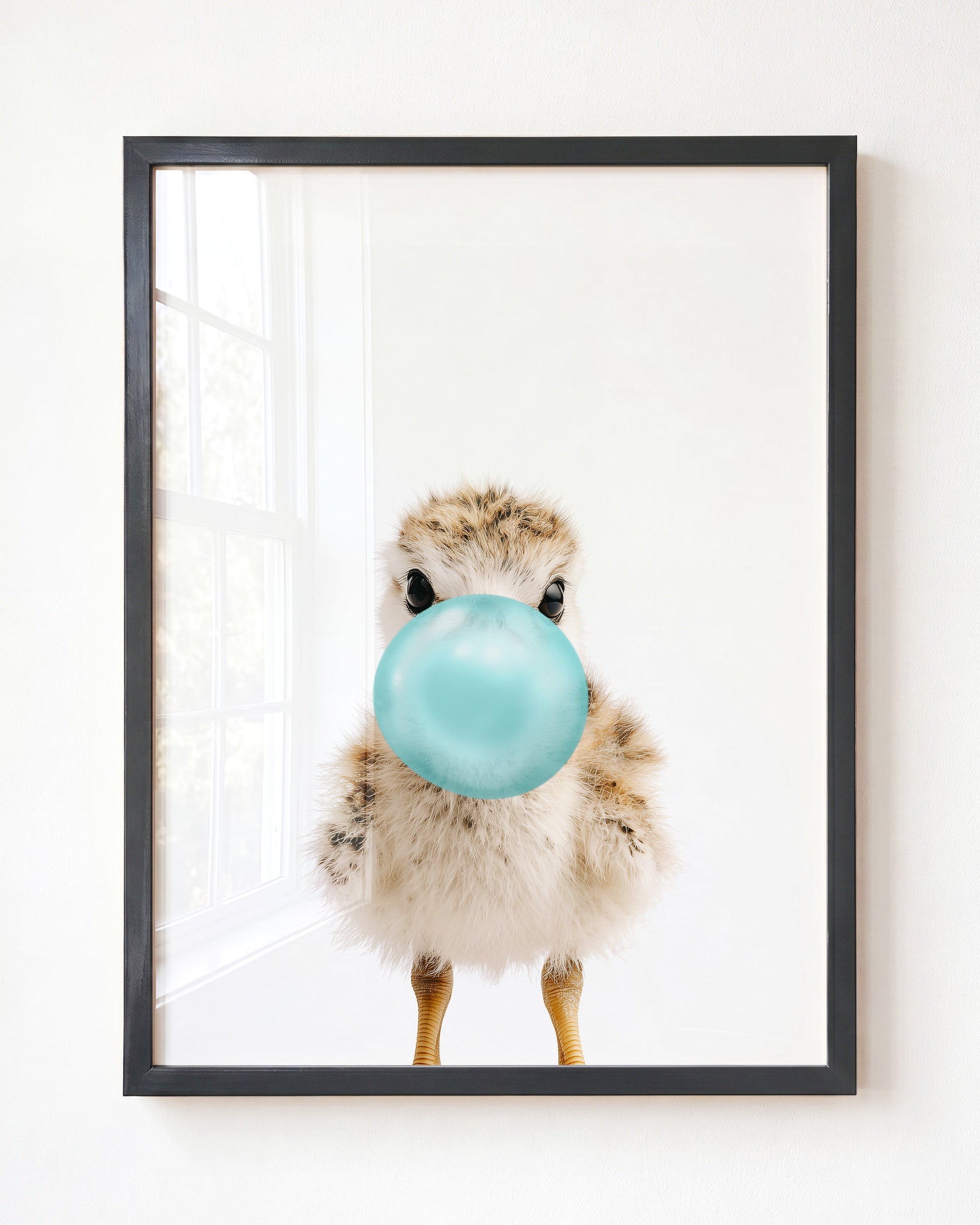 Baby Seagull