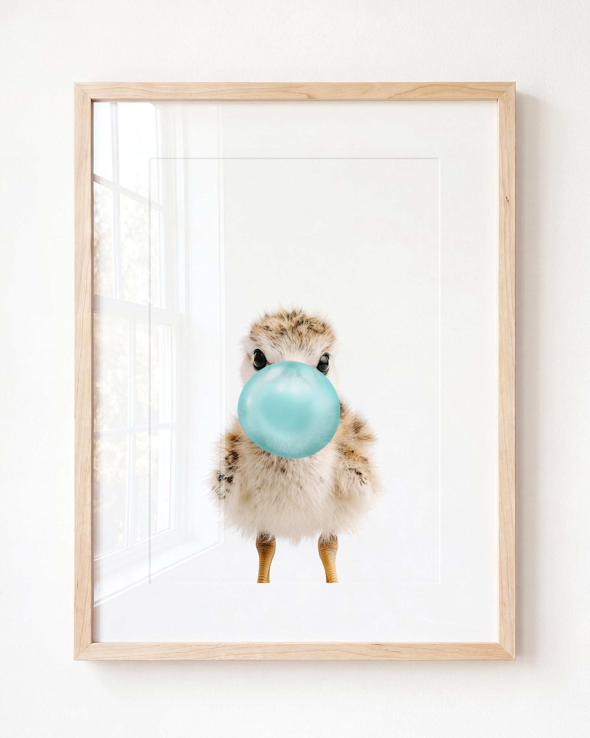 Baby Seagull