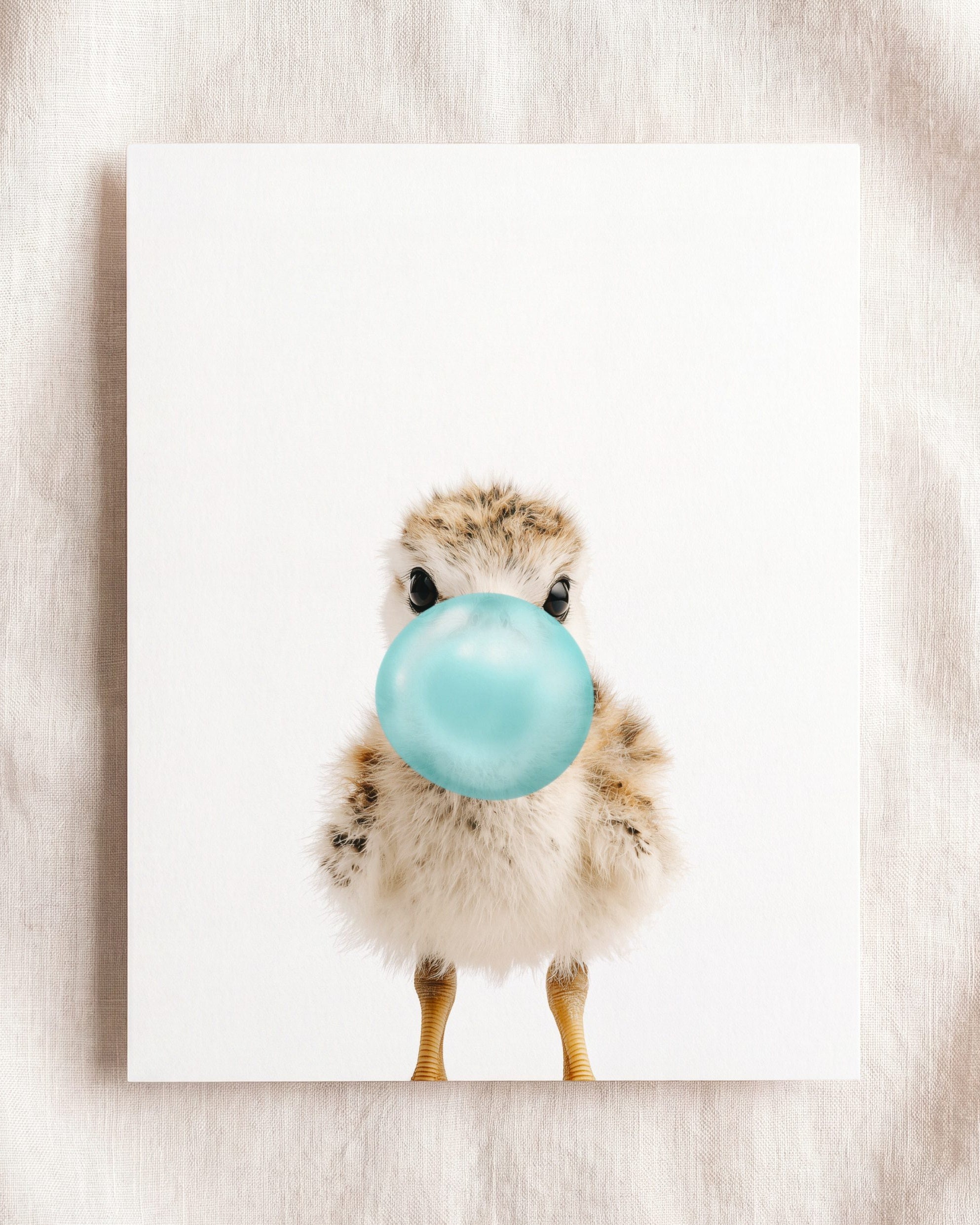 Baby Seagull