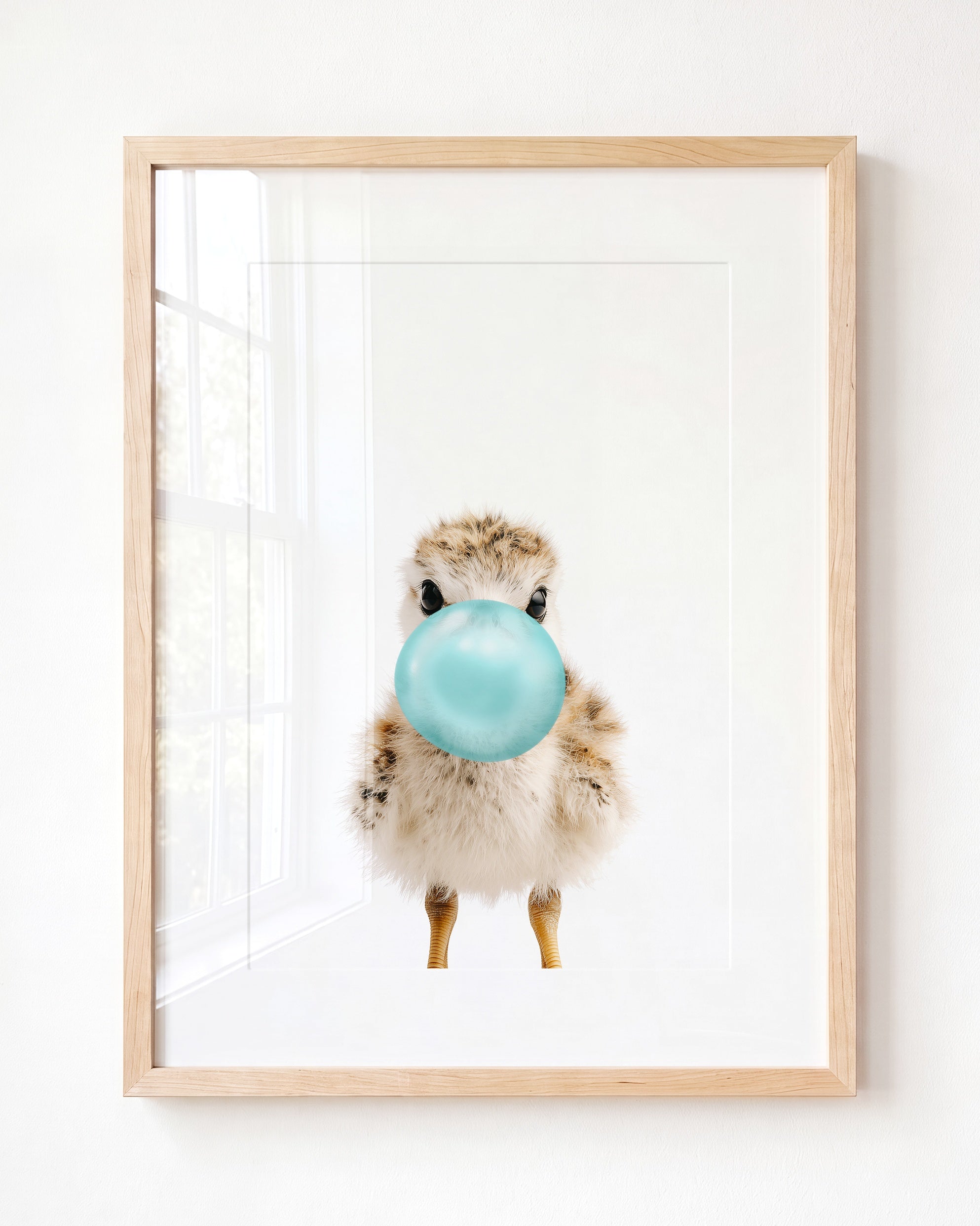 Baby Seagull