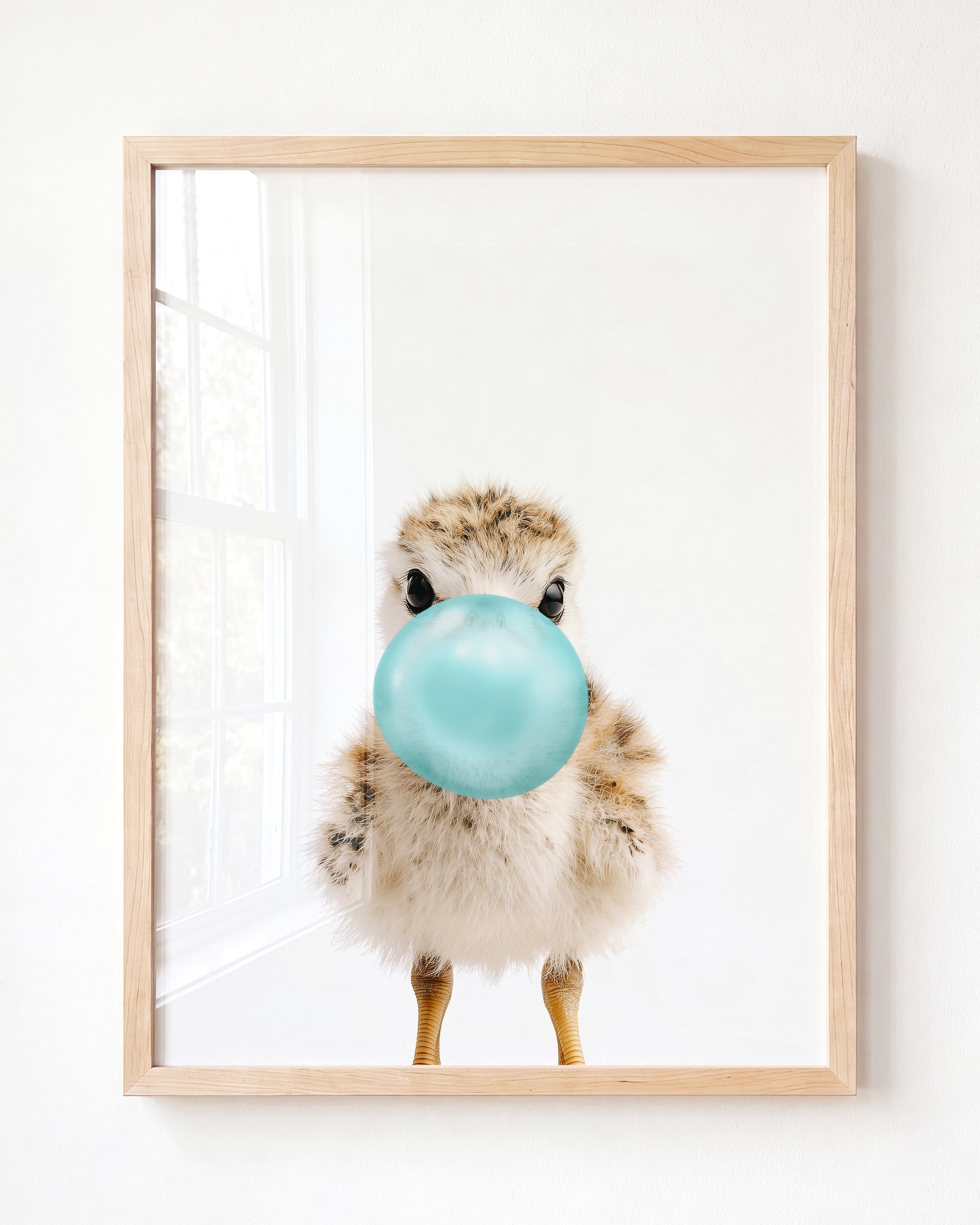 Baby Seagull