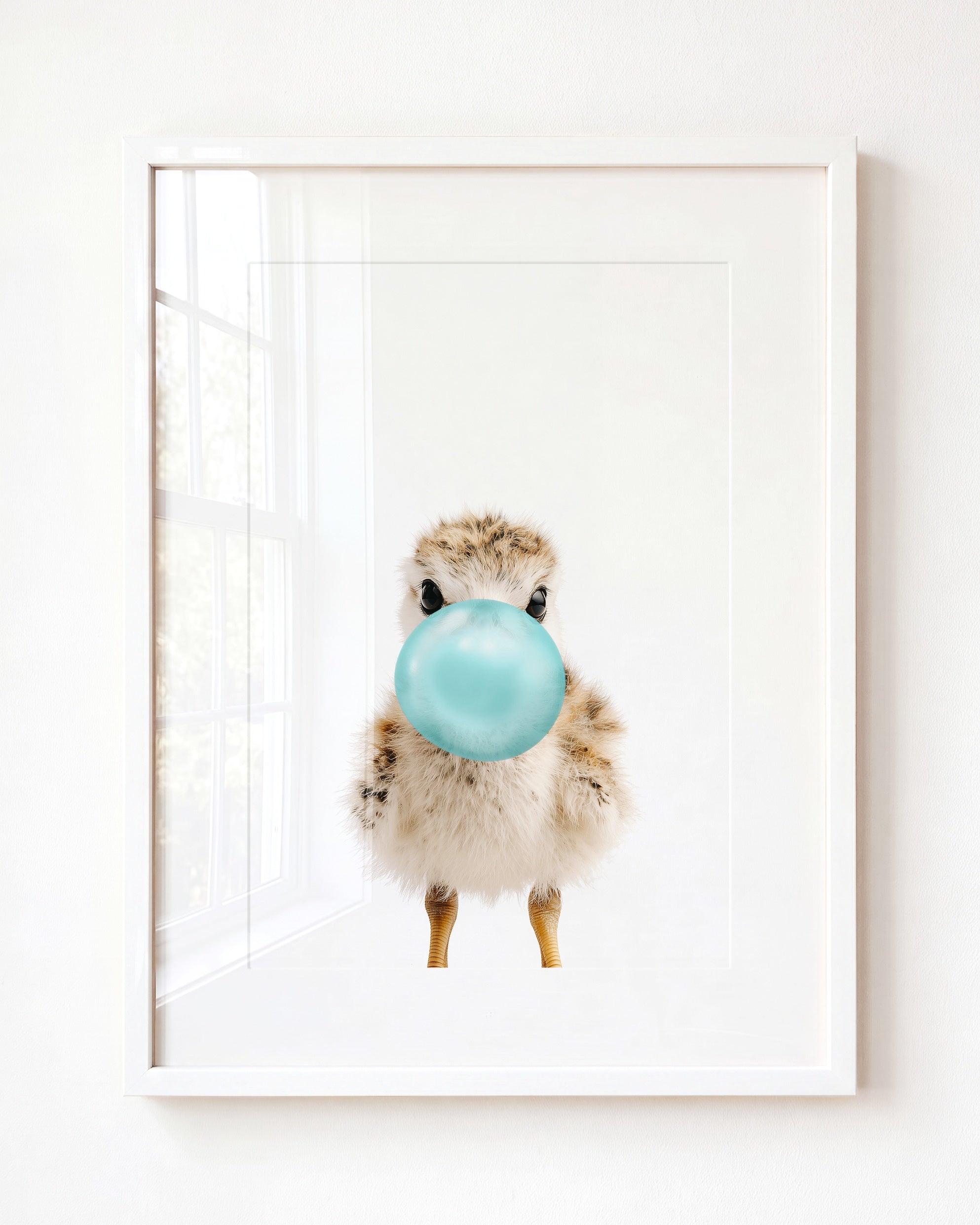 Baby Seagull