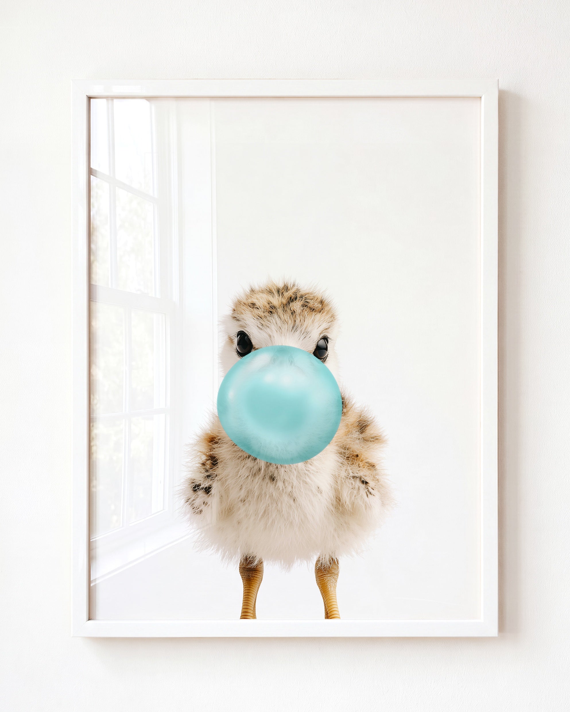 Baby Seagull