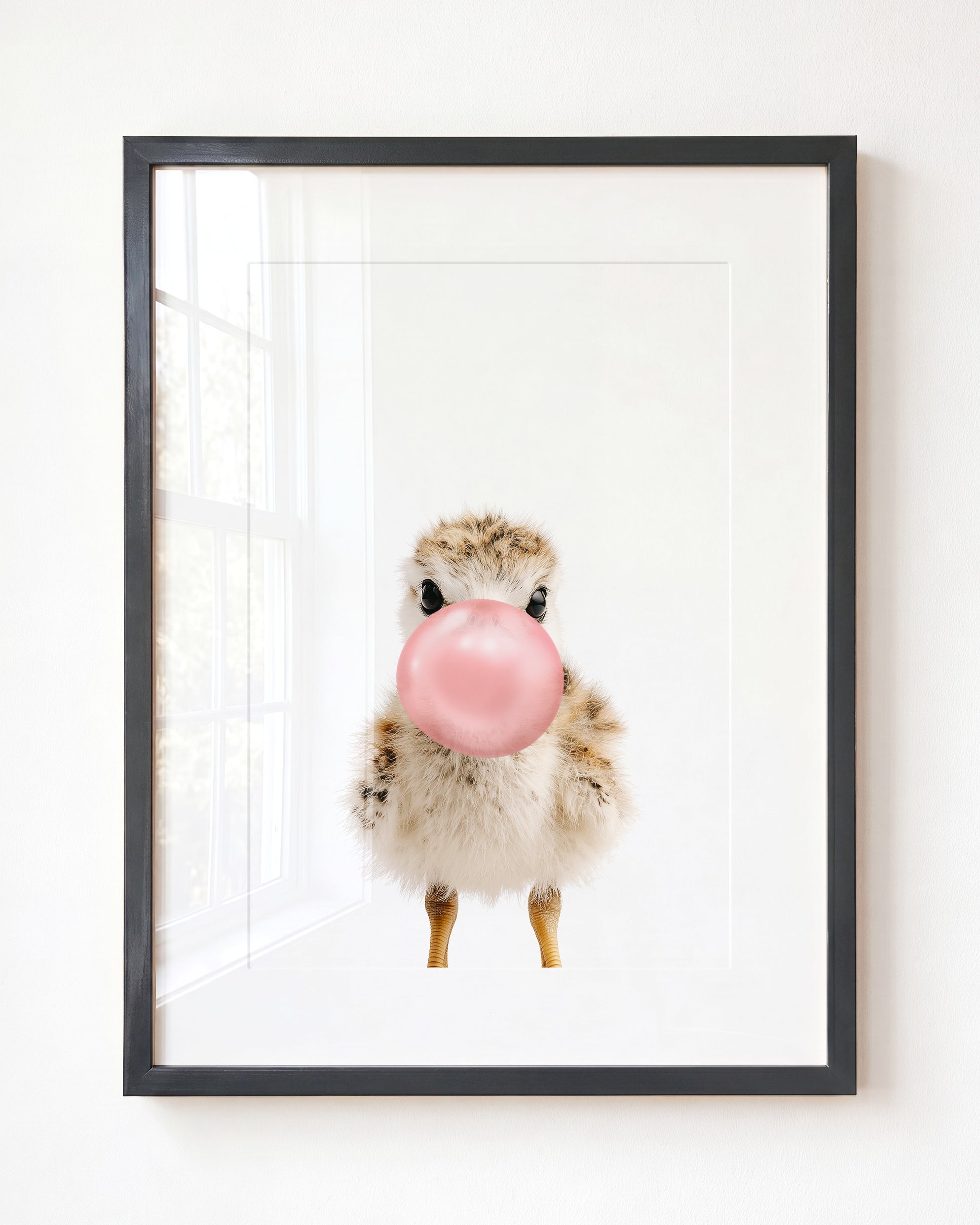 Baby Seagull