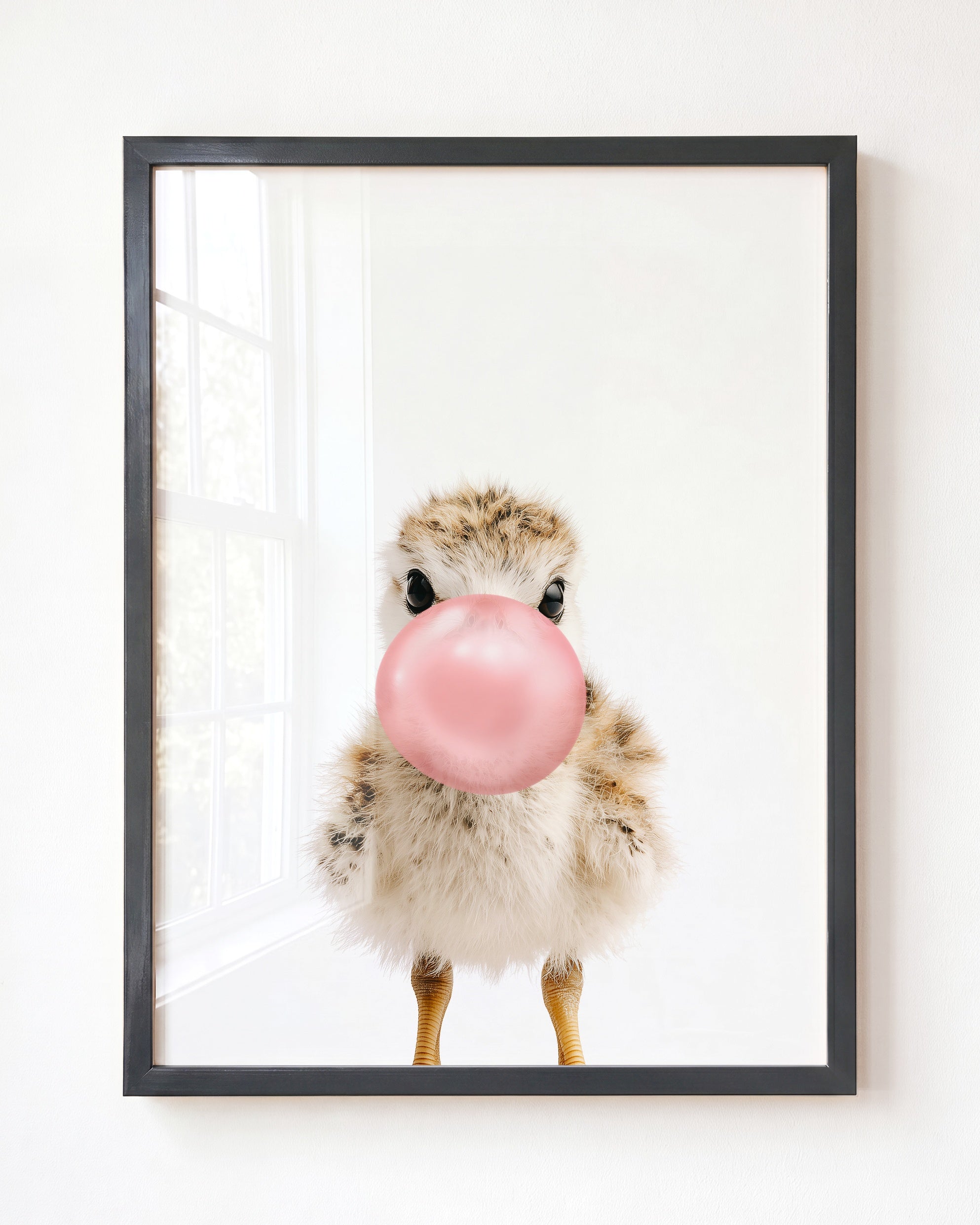 Baby Seagull