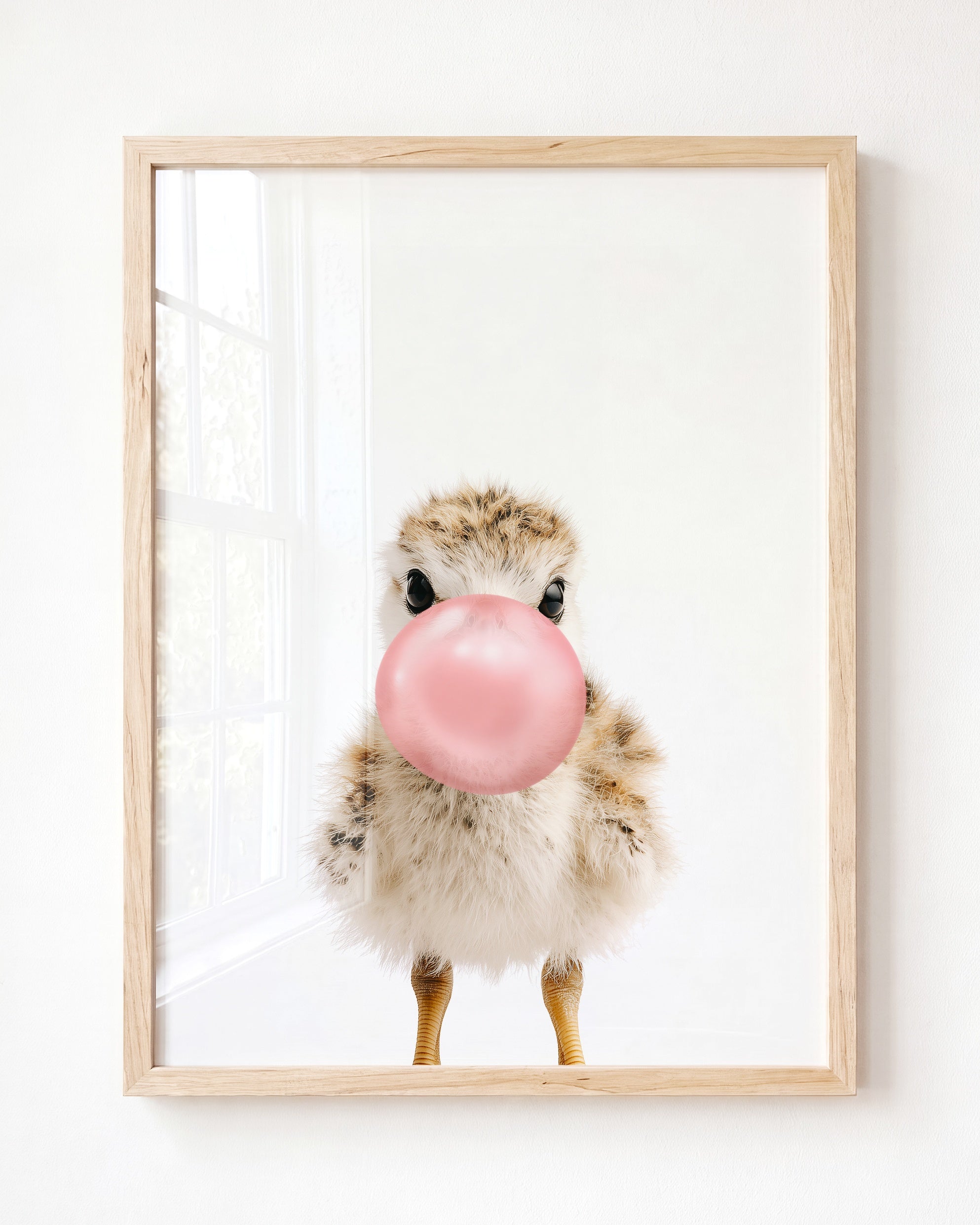 Baby Seagull