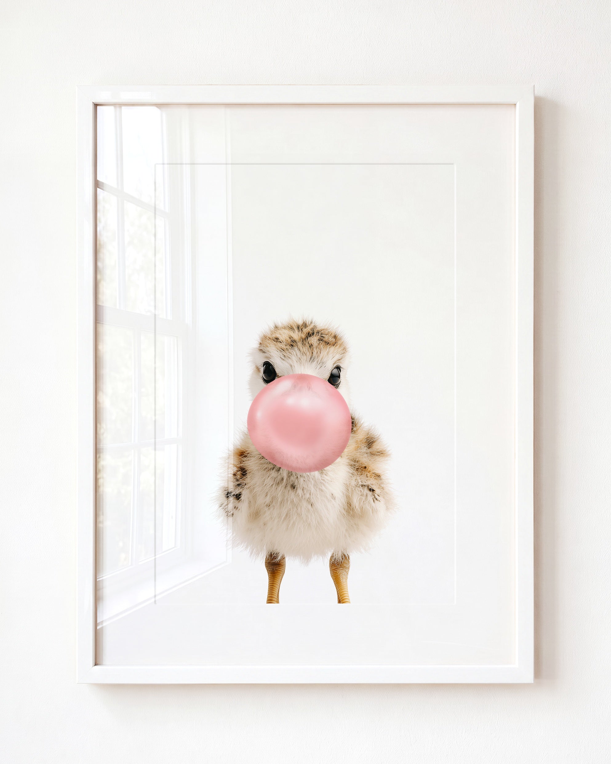 Baby Seagull
