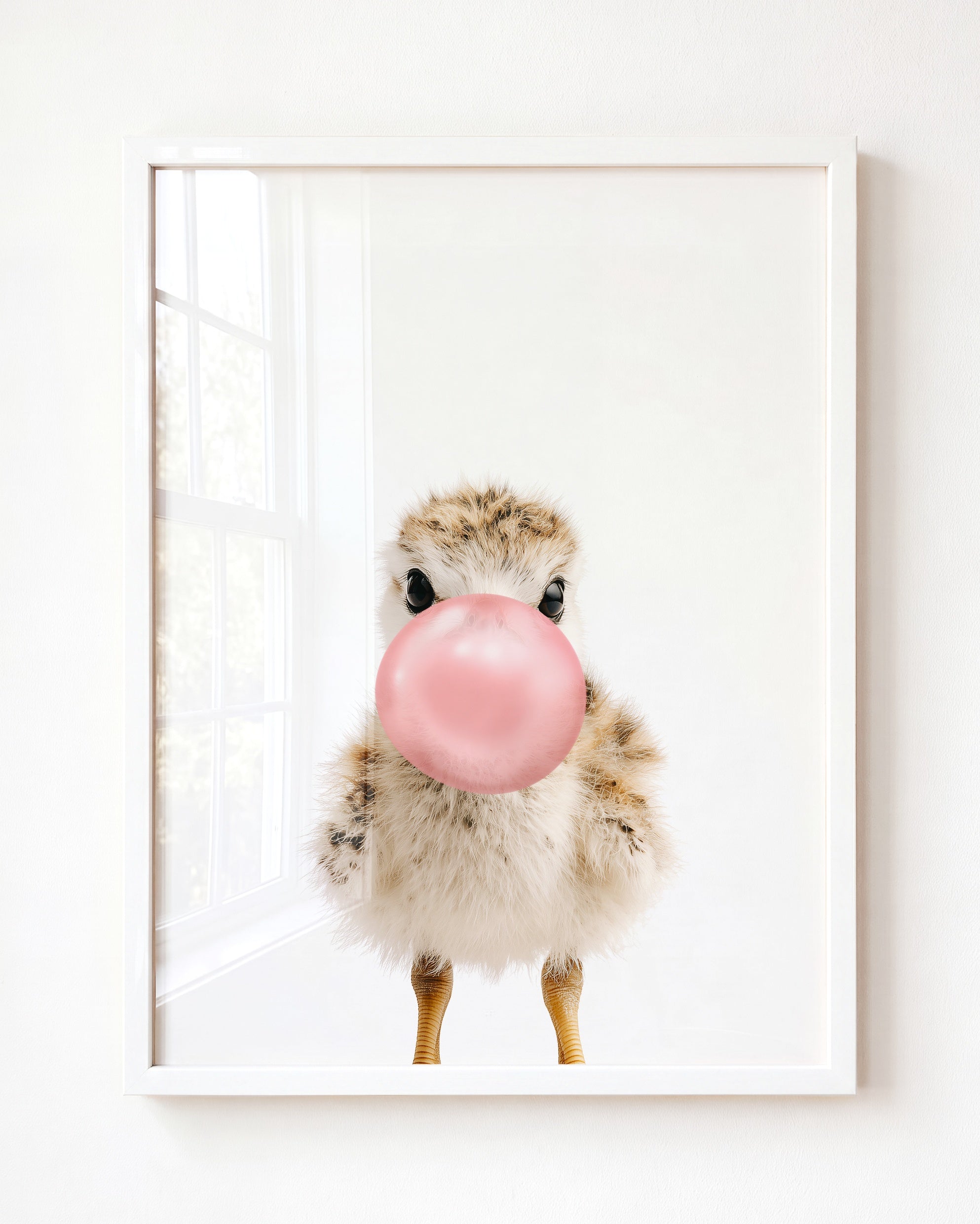 Baby Seagull