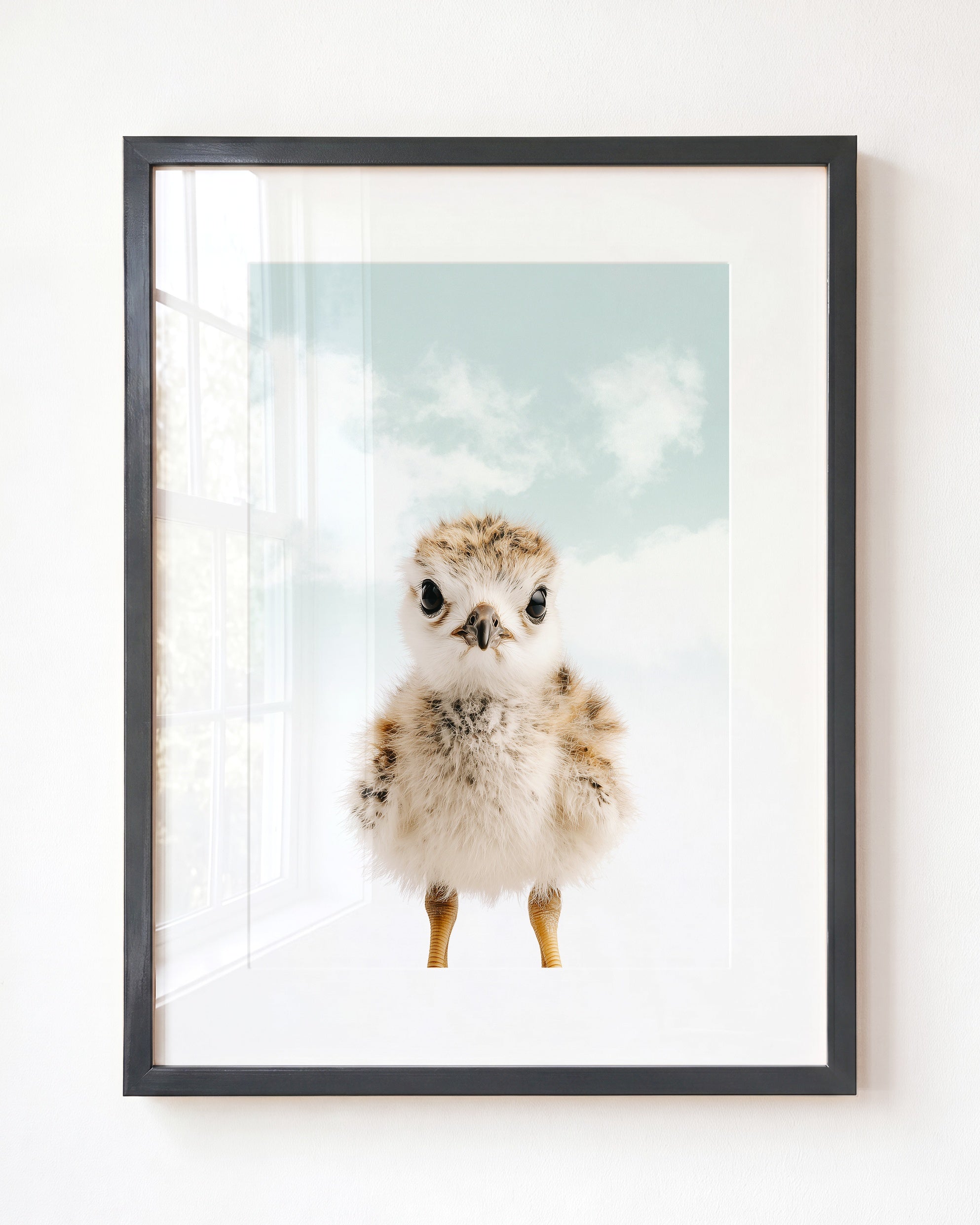 Baby Seagull