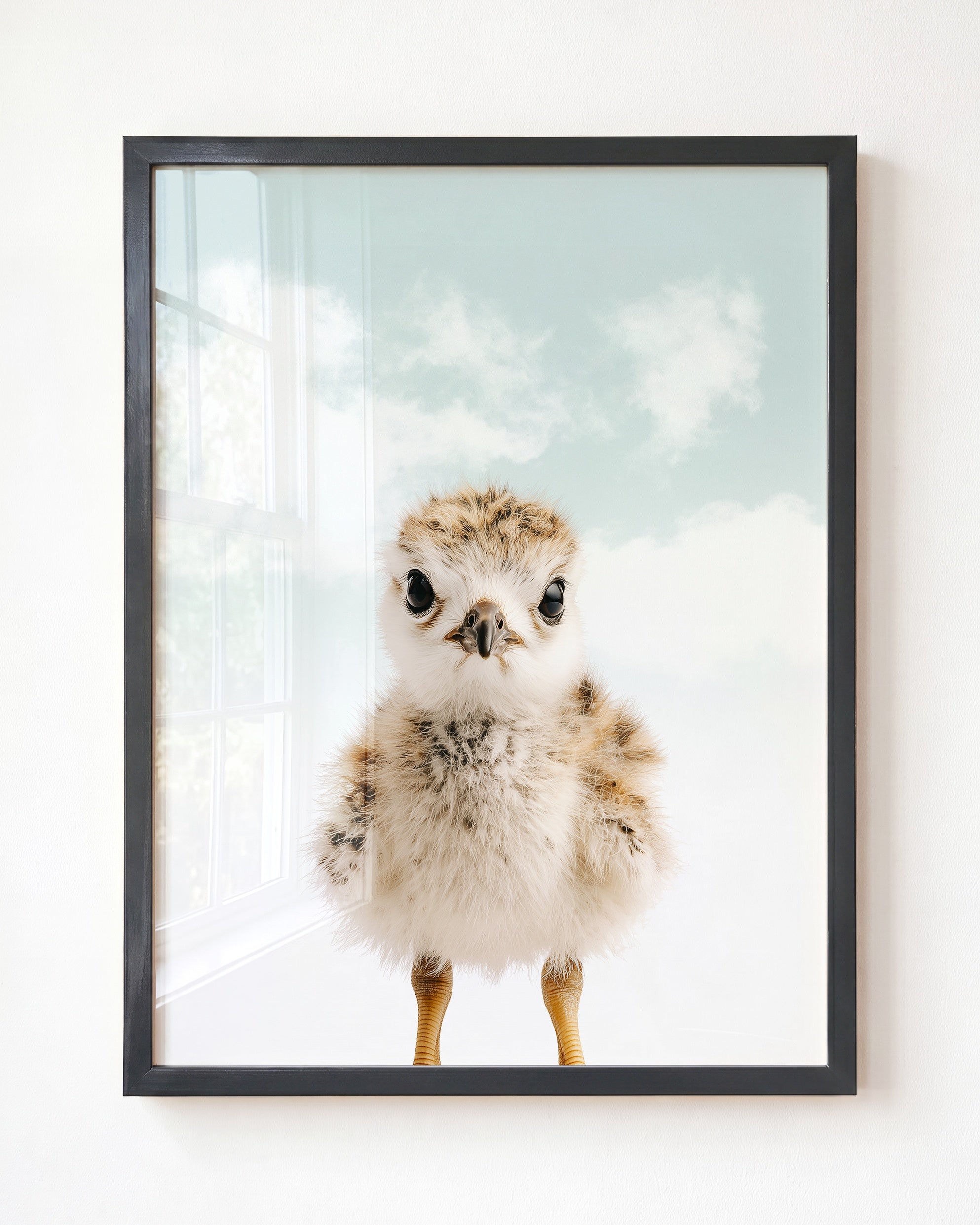 Baby Seagull