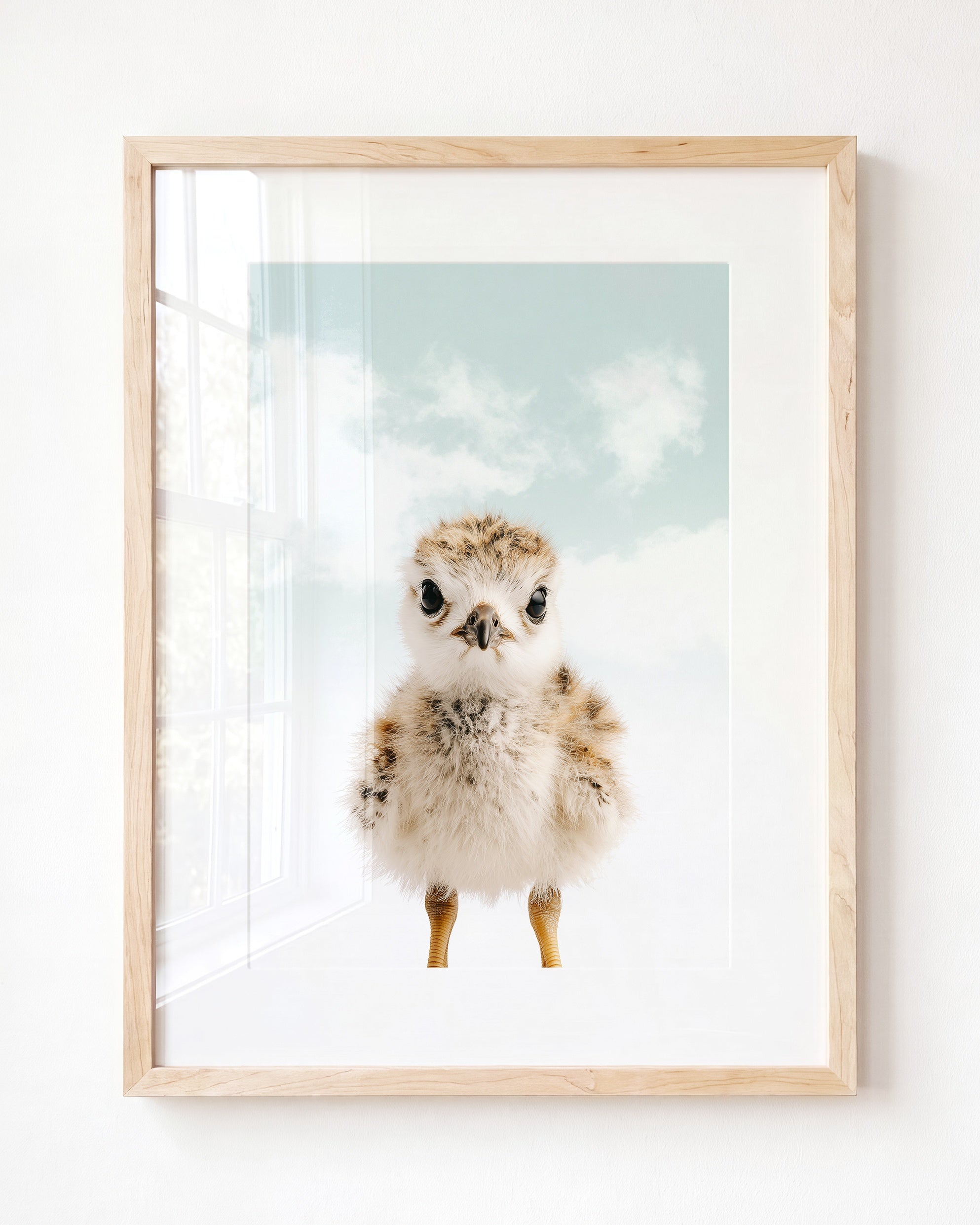 Baby Seagull