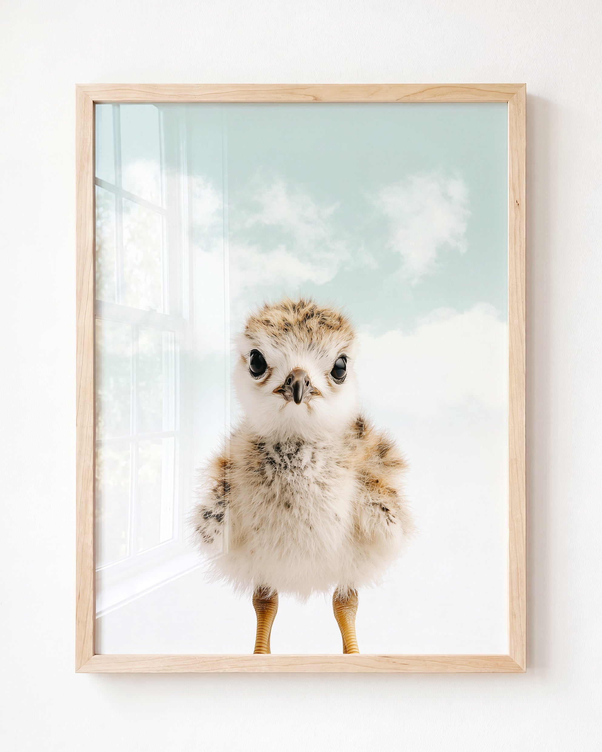Baby Seagull