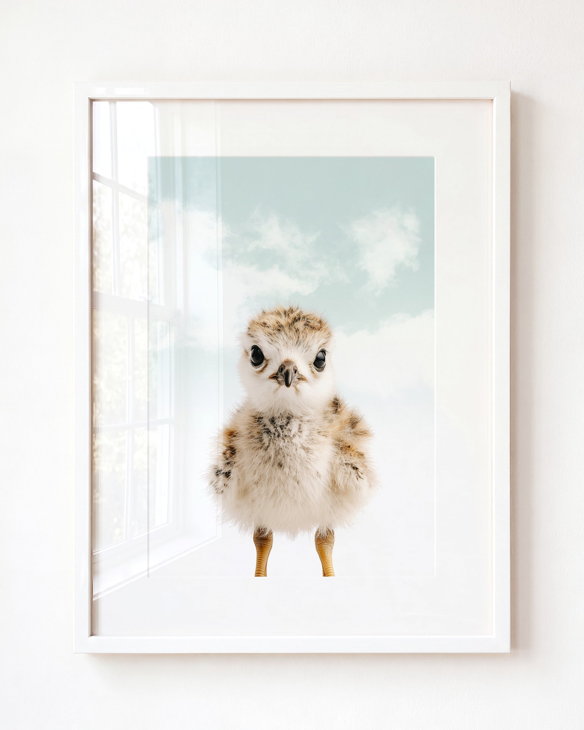 Baby Seagull