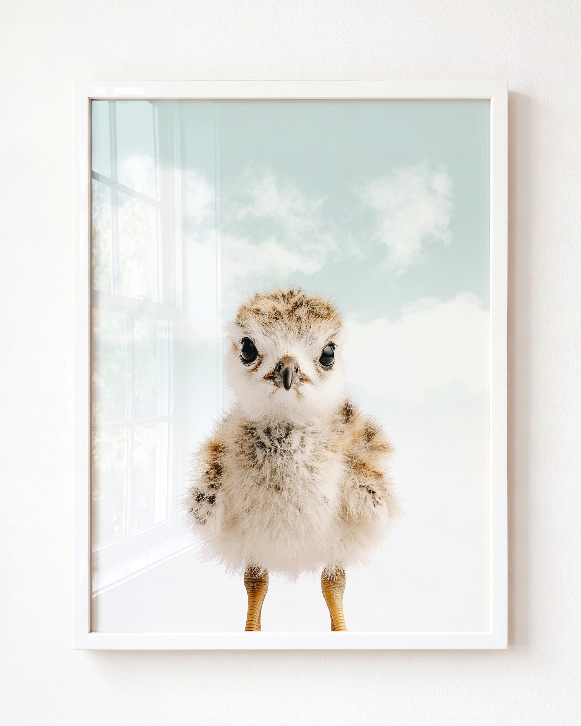 Baby Seagull