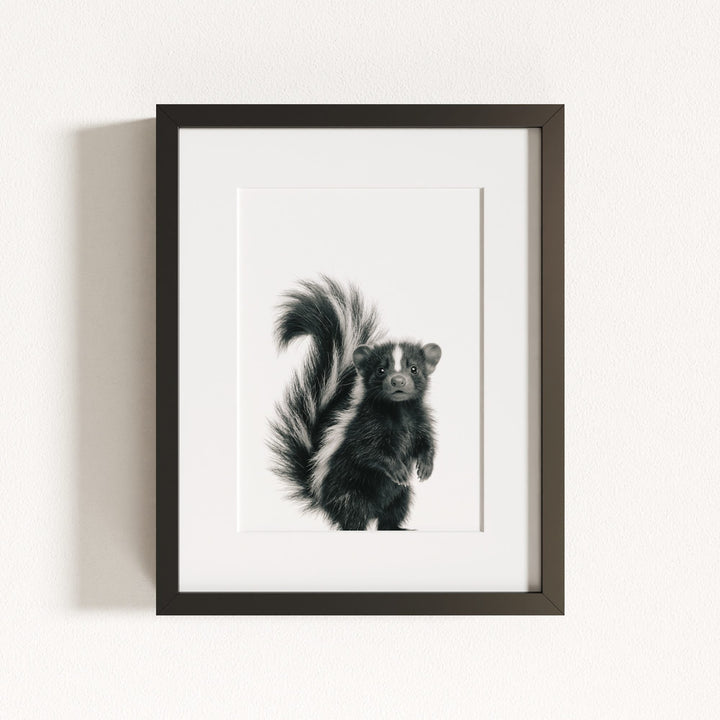 Baby Skunk