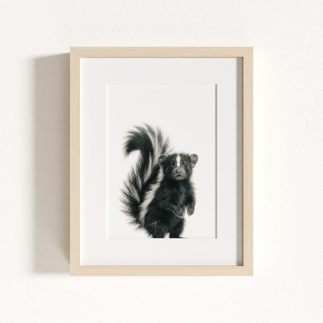 Baby Skunk