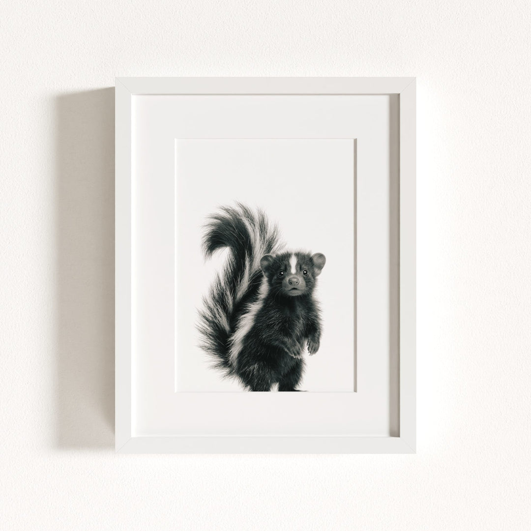 Baby Skunk