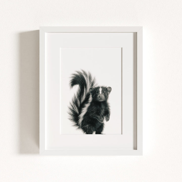 Baby Skunk