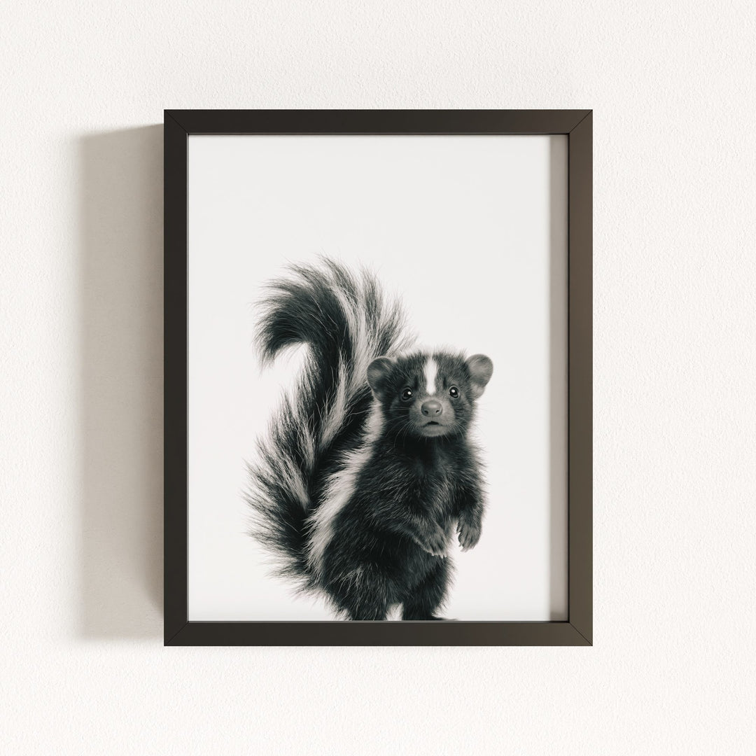 Baby Skunk