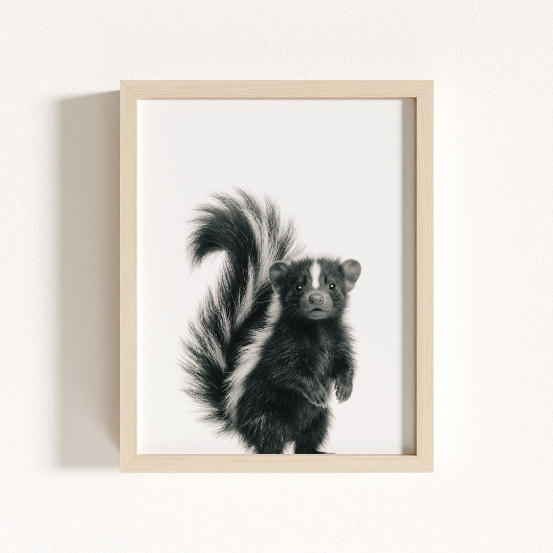 Baby Skunk