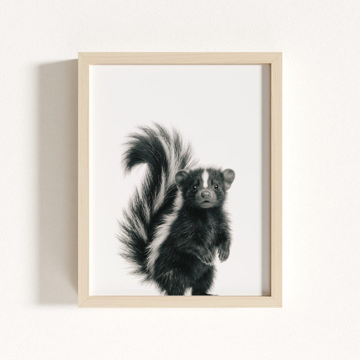 Baby Skunk