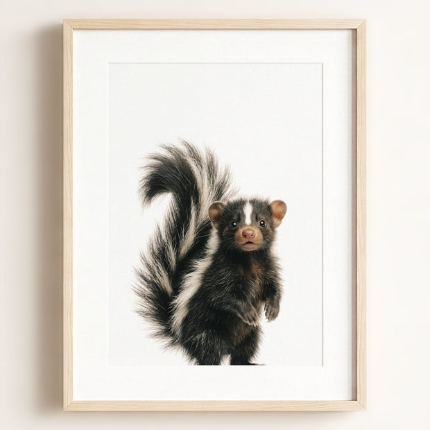 Baby Skunk