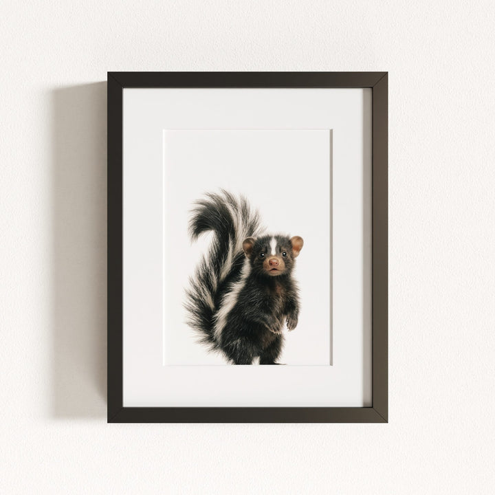 Baby Skunk