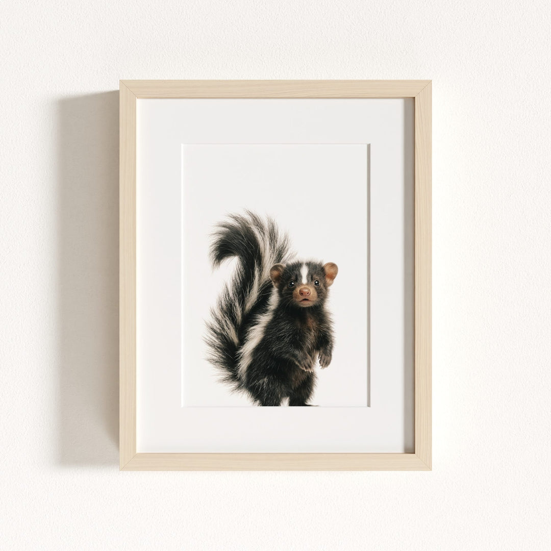 Baby Skunk