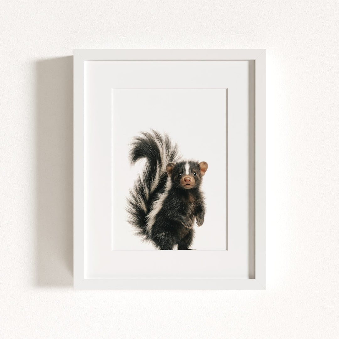 Baby Skunk