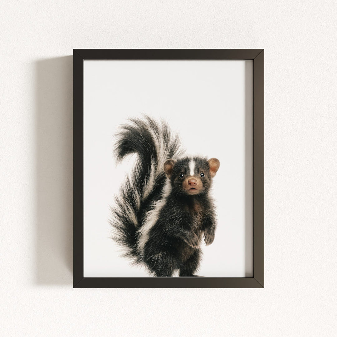 Baby Skunk