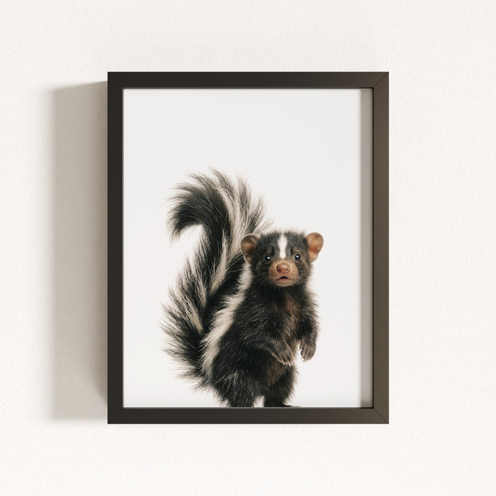 Baby Skunk
