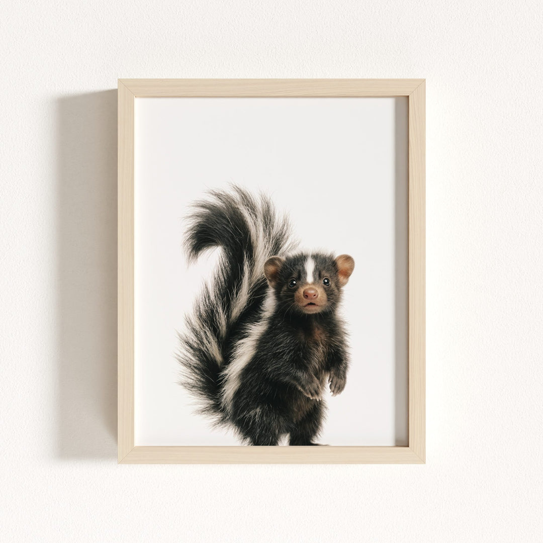 Baby Skunk