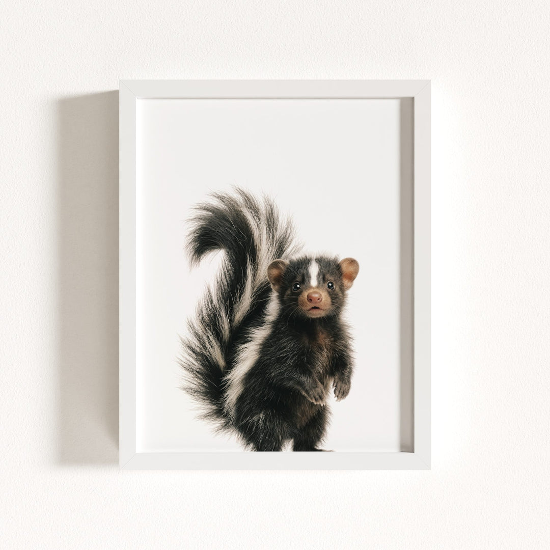 Baby Skunk
