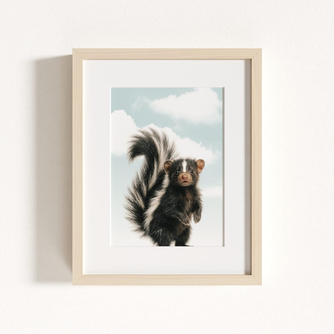Baby Skunk