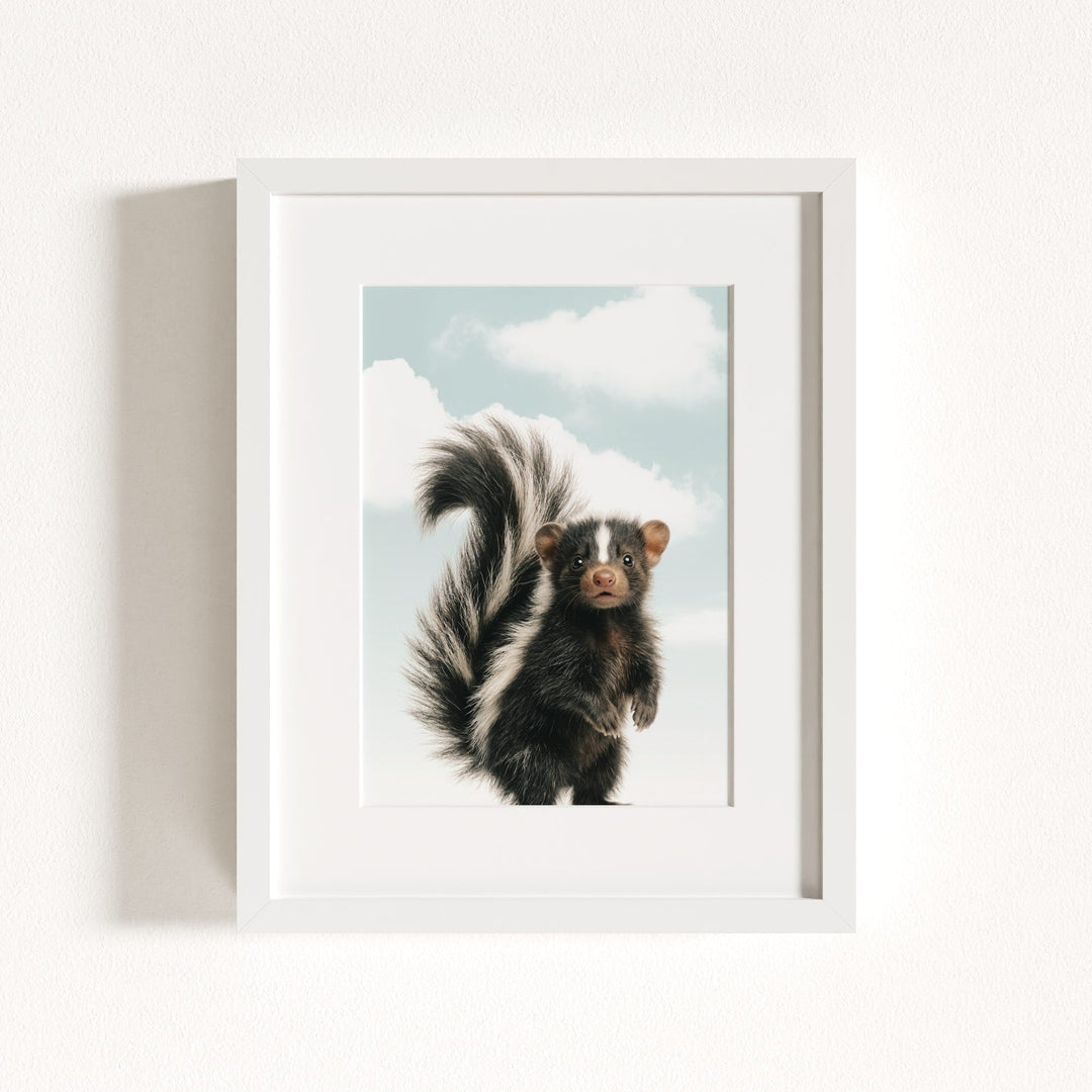 Baby Skunk