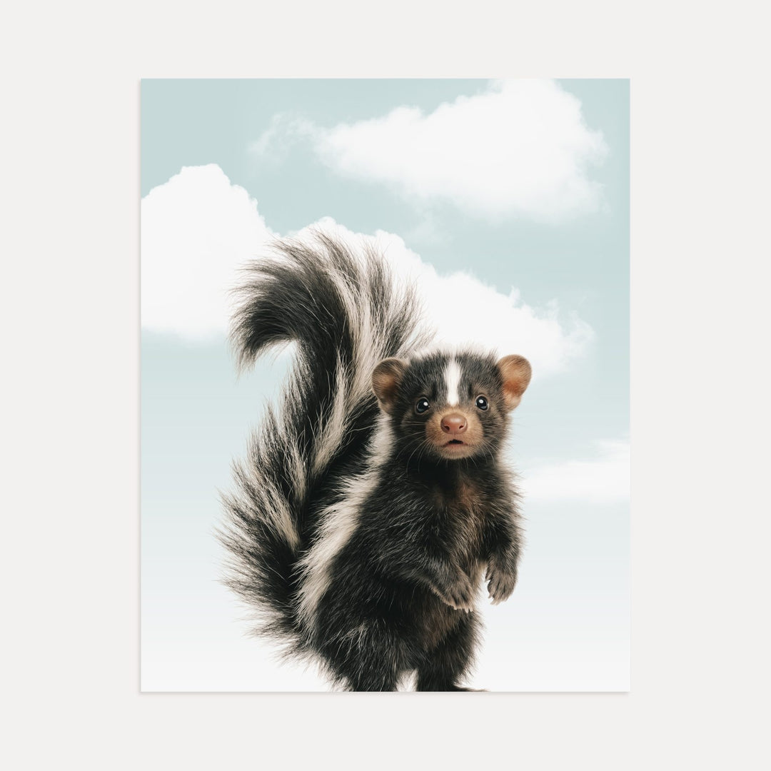 Baby Skunk
