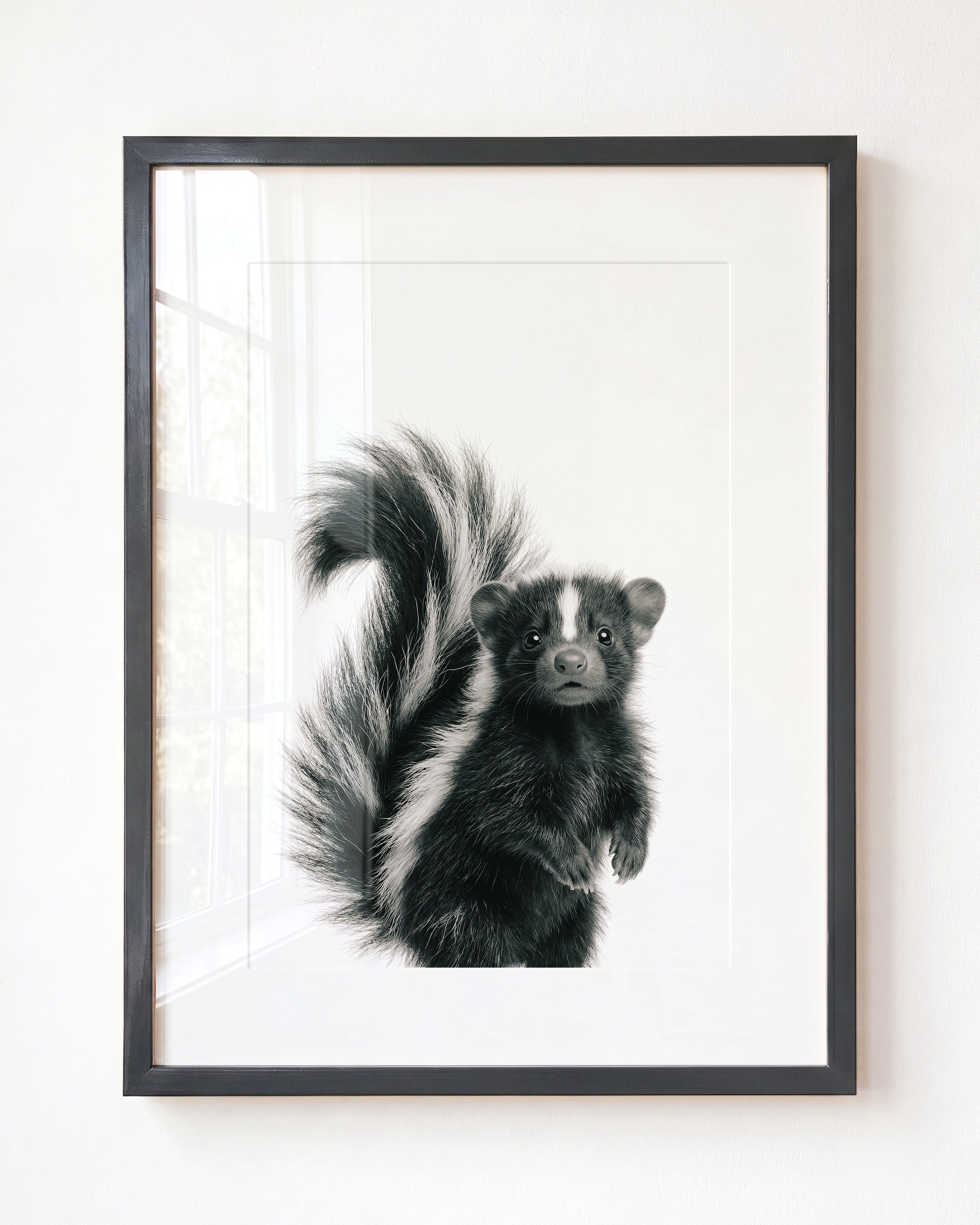 Baby Skunk