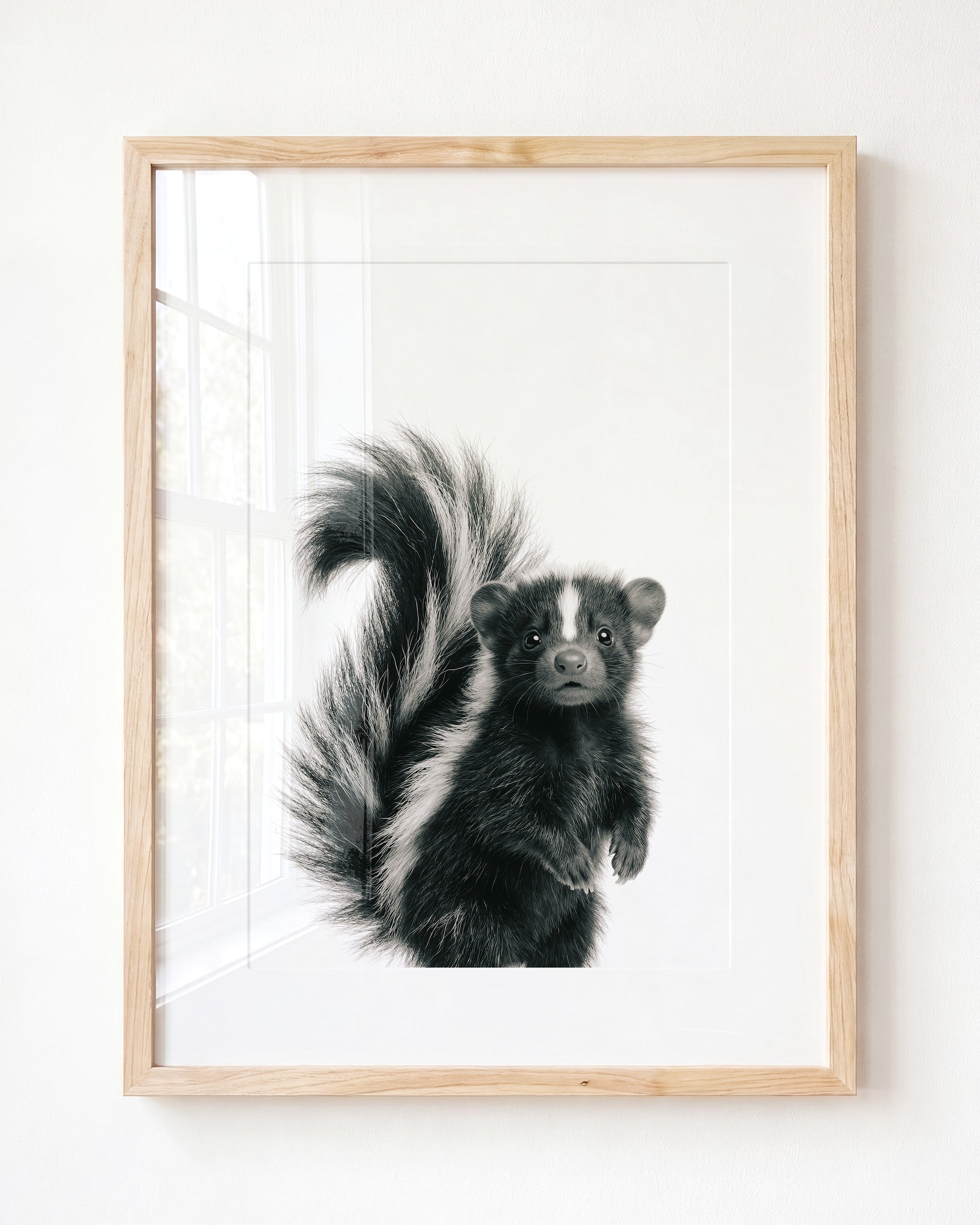 Baby Skunk