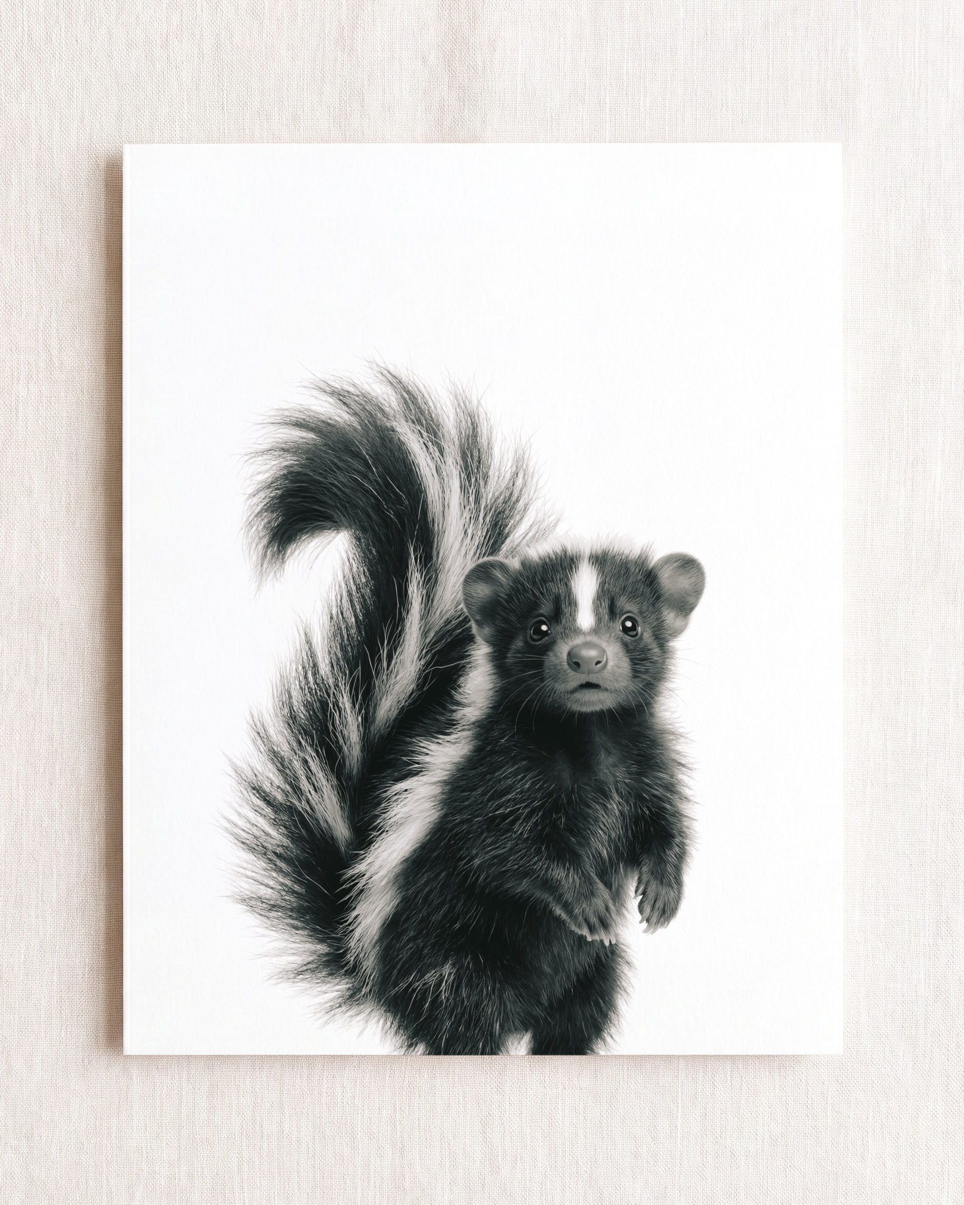 Baby Skunk